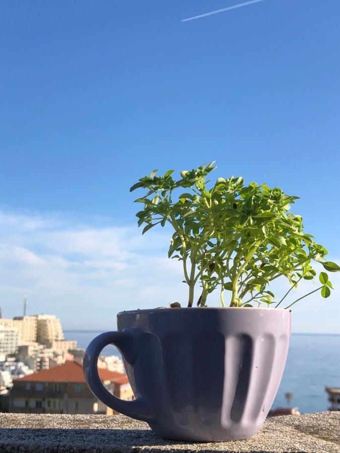 Studio Apartmani Lemon Budva Kültér fotó